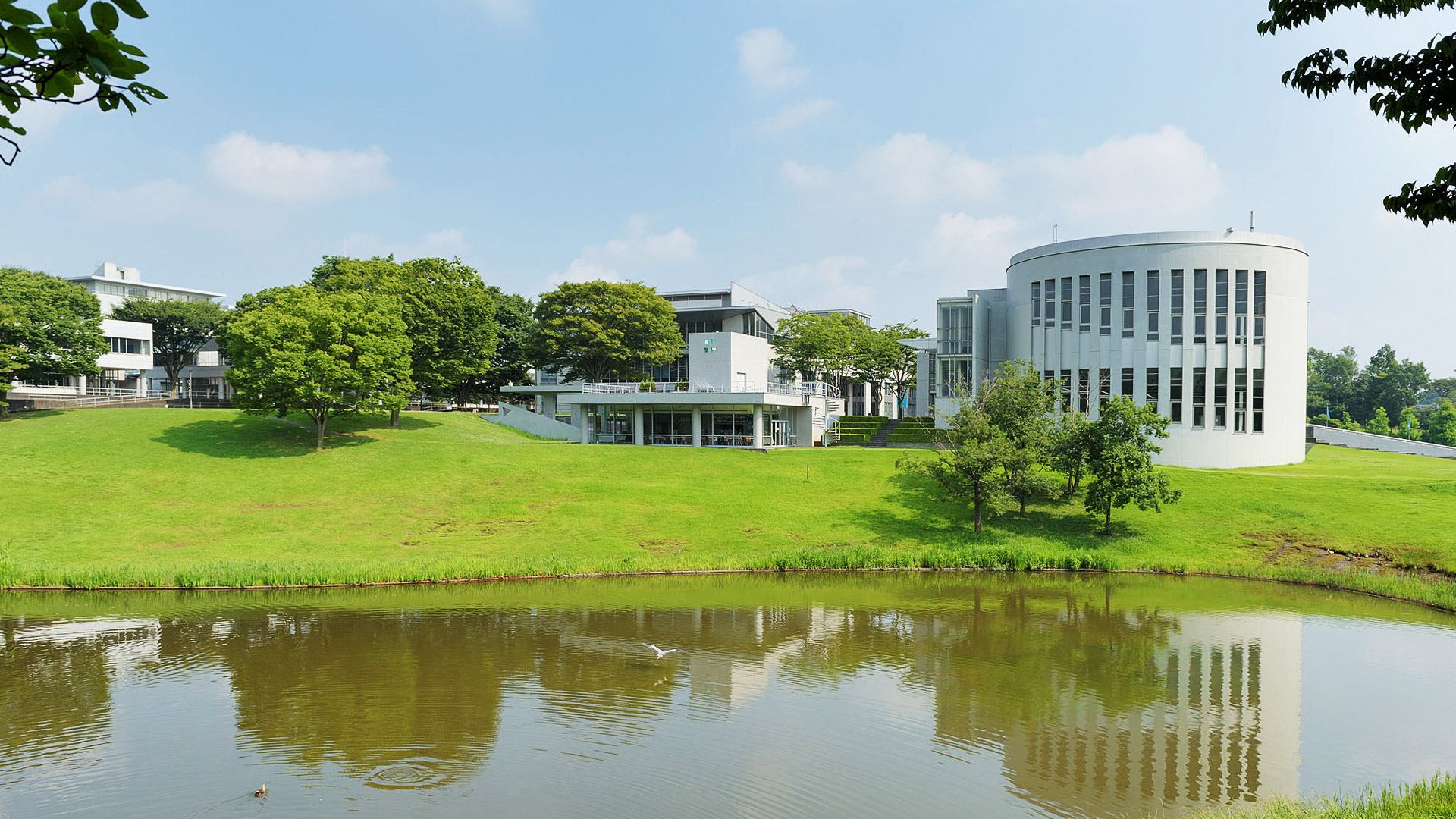 Keio University Shonan Fujisawa Campus